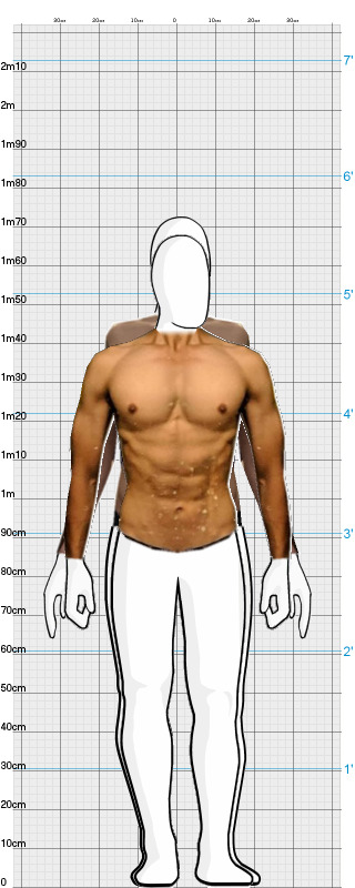 Full Size Comparison