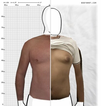 Torso Comparison