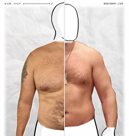 Torso Comparison