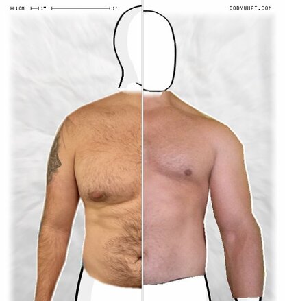 Torso Comparison