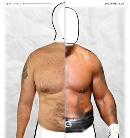 Torso Comparison