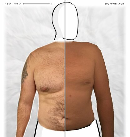 Torso Comparison