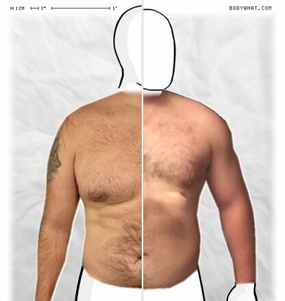 Torso Comparison