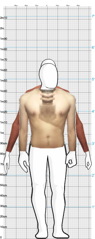 Full Size Comparison