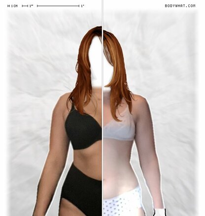 Torso Comparison