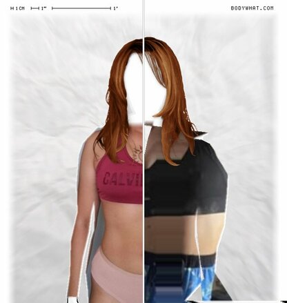 Torso Comparison