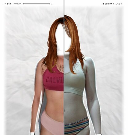 Torso Comparison