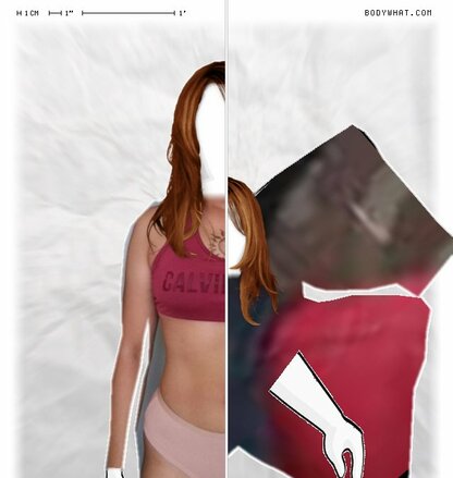 Torso Comparison