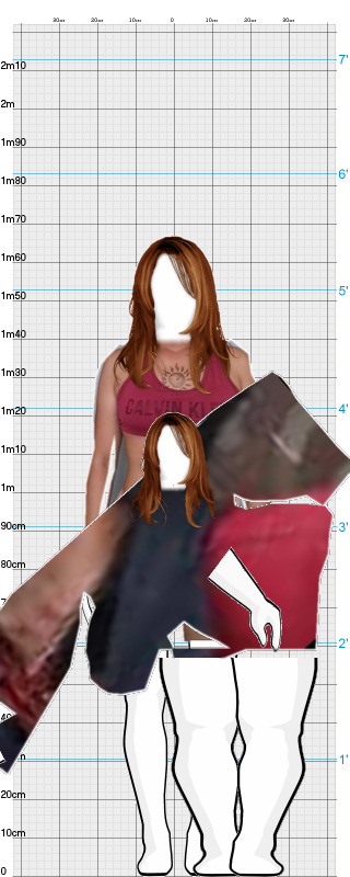 Full Size Comparison
