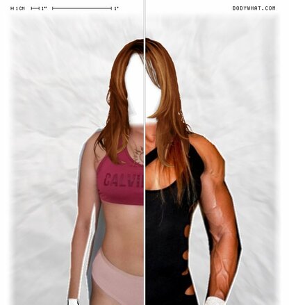 Torso Comparison