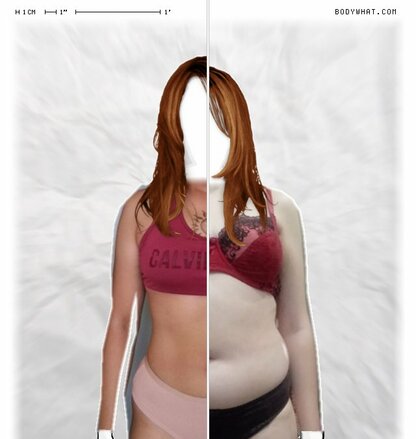 Torso Comparison