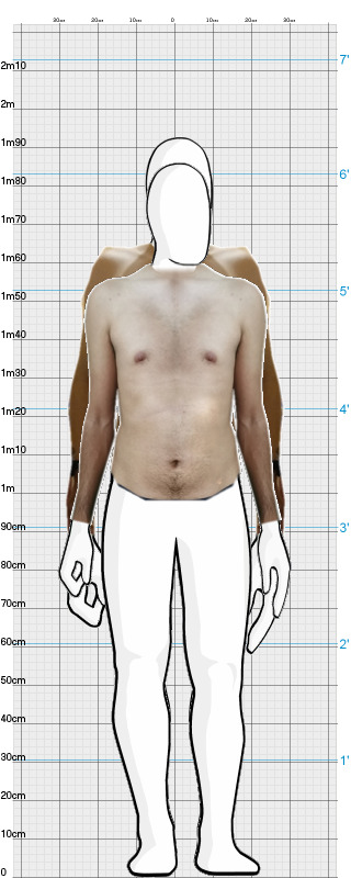 Full Size Comparison