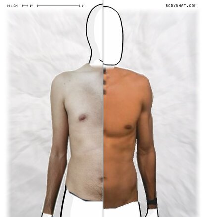 Torso Comparison