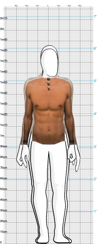 Full Size Comparison
