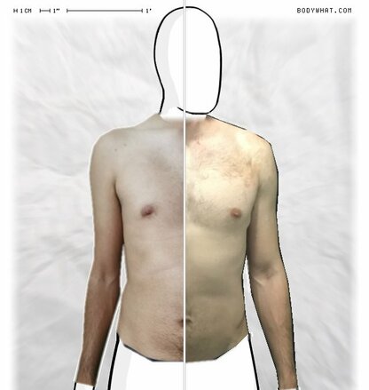 Torso Comparison