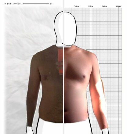 Torso Comparison