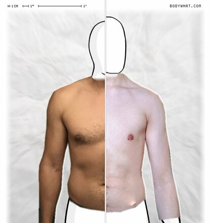 Torso Comparison