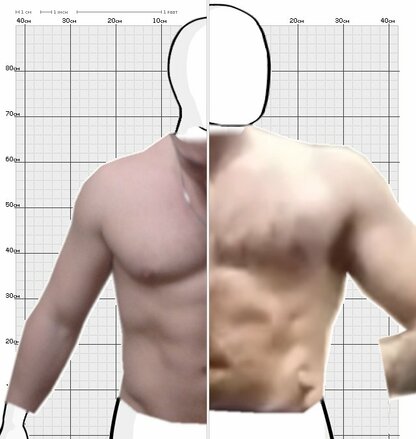 Torso Comparison