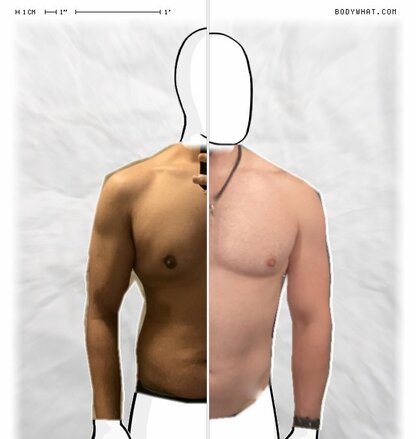 Torso Comparison