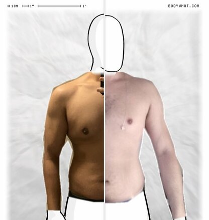 Torso Comparison