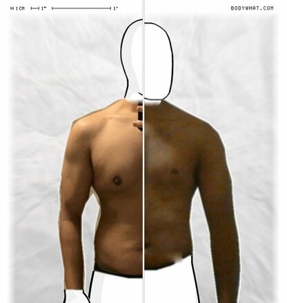 Torso Comparison