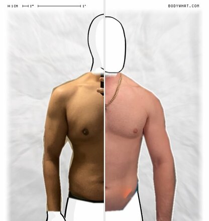 Torso Comparison