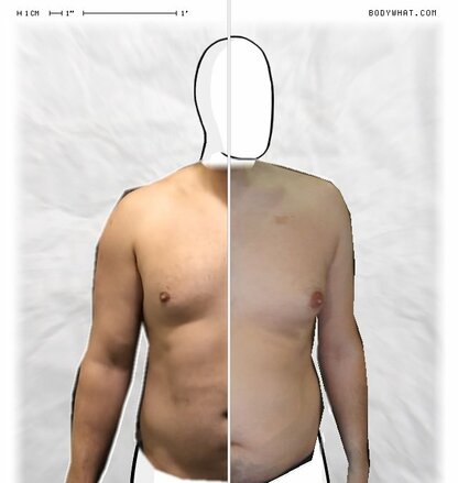 Torso Comparison