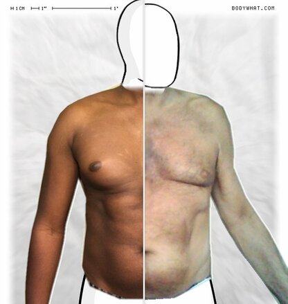 Torso Comparison