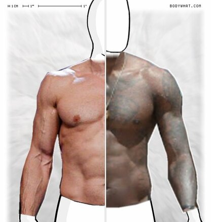 Torso Comparison