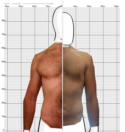 Torso Comparison