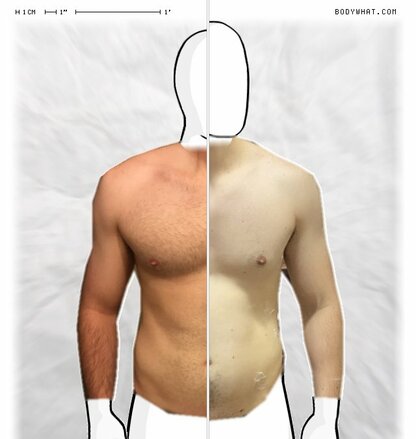 Torso Comparison