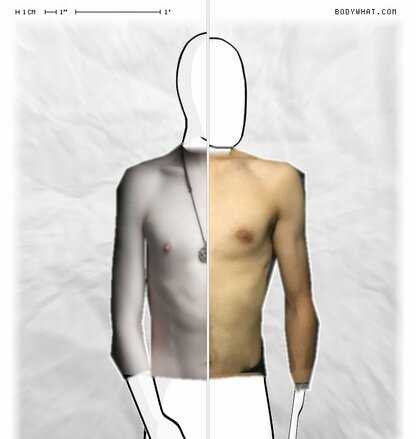 Torso Comparison