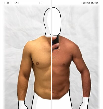 Torso Comparison