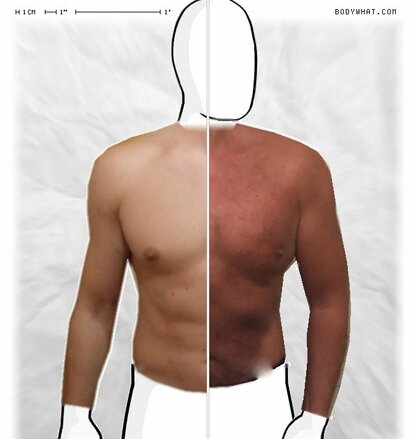 Torso Comparison