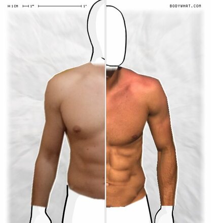 Torso Comparison