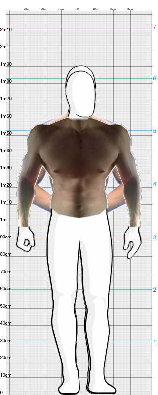 Full Size Comparison