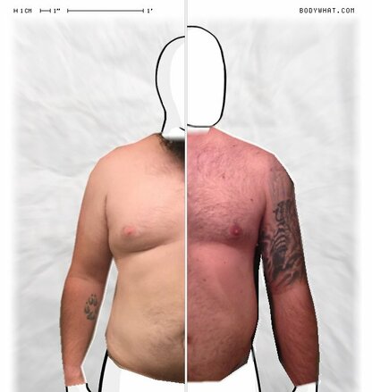 Torso Comparison