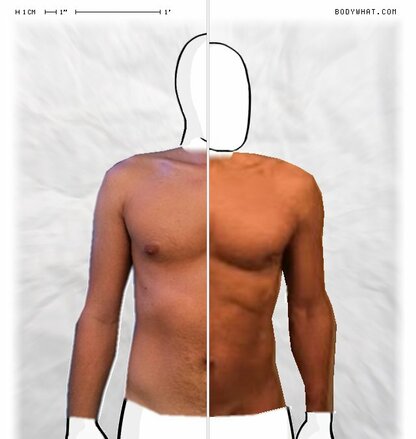 Torso Comparison