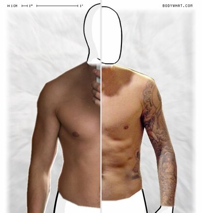 Torso Comparison