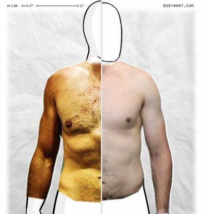 Torso Comparison