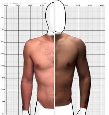 Torso Comparison