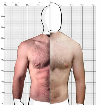 Torso Comparison