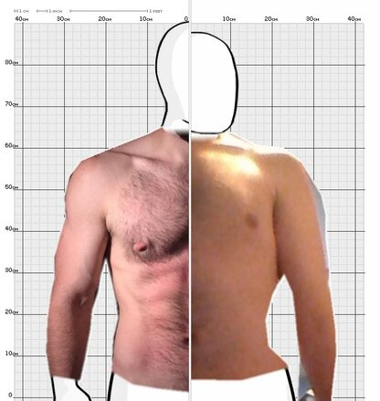 Torso Comparison