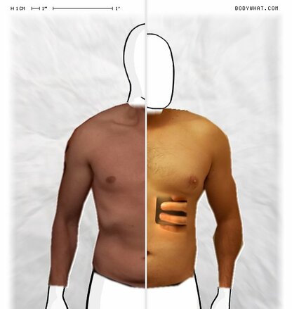 Torso Comparison