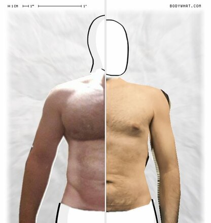 Torso Comparison