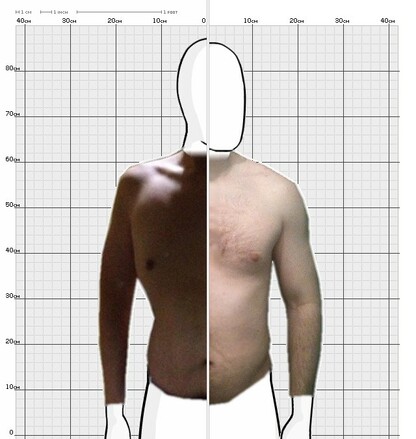 Torso Comparison