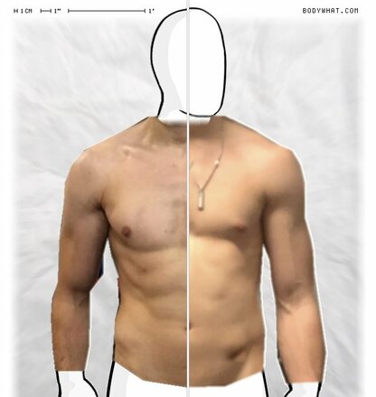 Torso Comparison