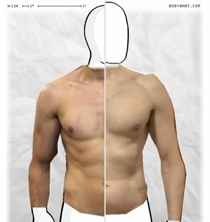 Torso Comparison
