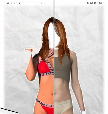 Torso Comparison