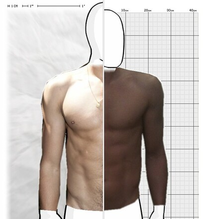 Torso Comparison